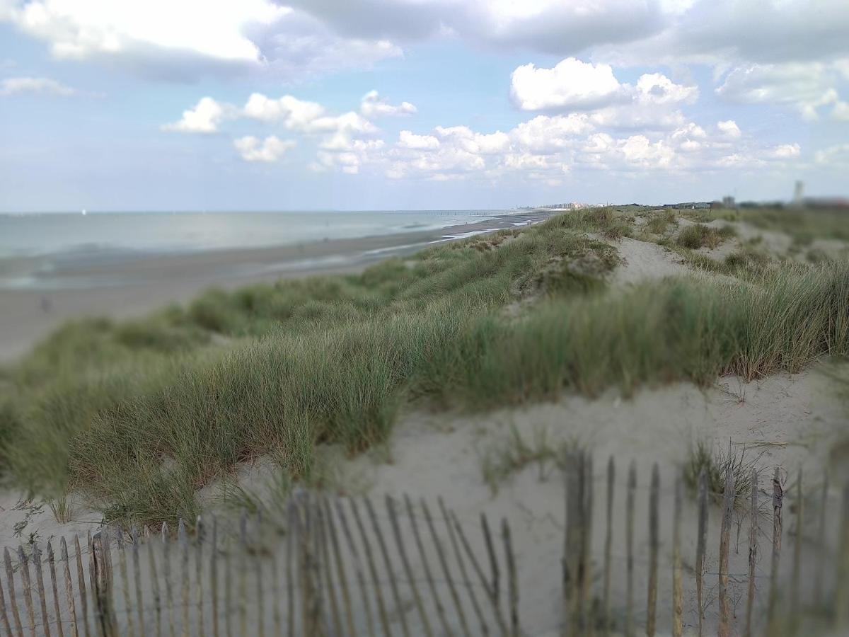 Studio Havenzicht Nieuwpoort Zewnętrze zdjęcie