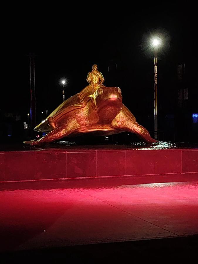 Studio Havenzicht Nieuwpoort Zewnętrze zdjęcie