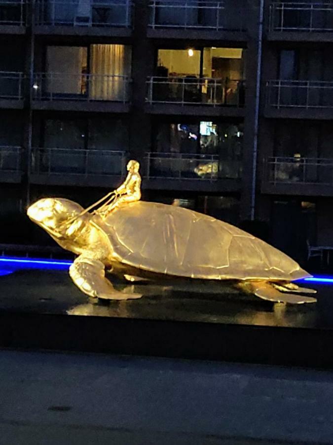 Studio Havenzicht Nieuwpoort Zewnętrze zdjęcie